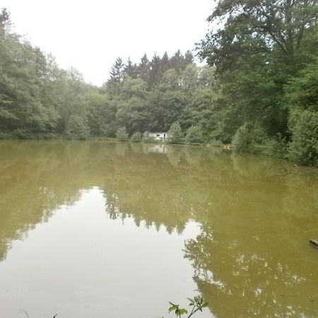 Gite Le Sous-Bois Cerfontaine Eksteriør billede