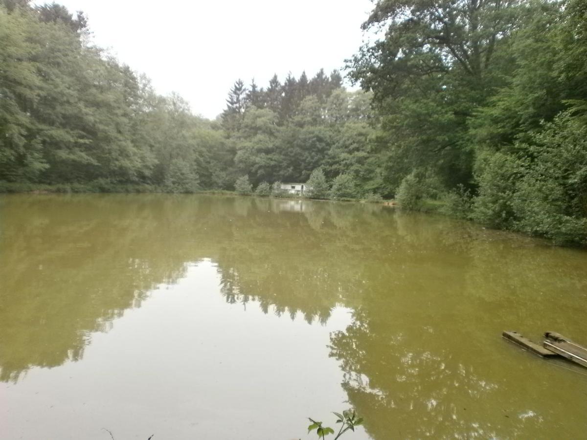 Gite Le Sous-Bois Cerfontaine Eksteriør billede